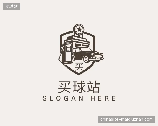 介绍买球站官方网站